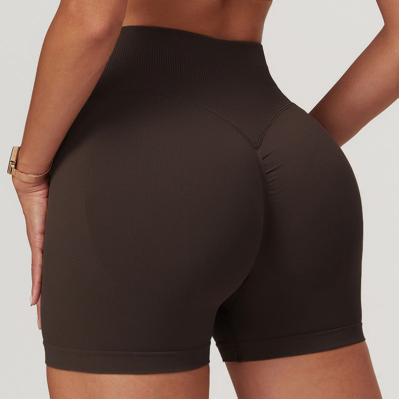 Seamless Quick-Dry High-Waisted Sport Shorts