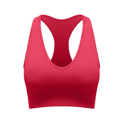 Basic seamless sports bra