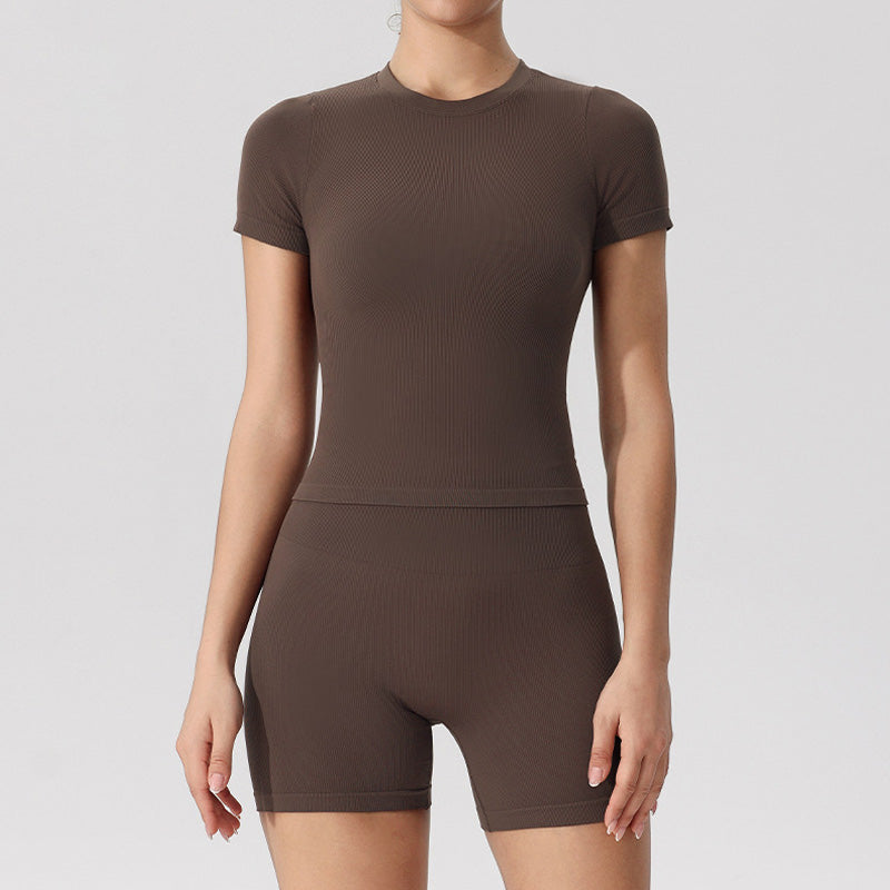 Seamless Quick Dry Yoga Top + Shorts 2-Piece Set