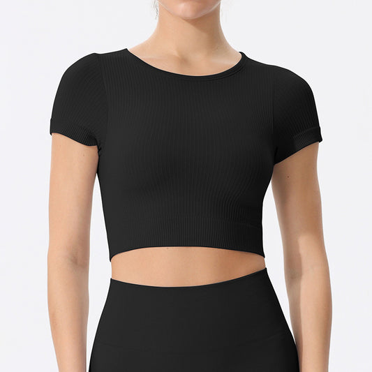 Seamless Quick Dry Short Sleeve Yoga Crop Top