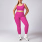 Plus Size Quick Dry Sports Bra + Legging 2-piece set