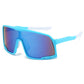 Cycling Mirror Outdoor Sports One-Piece Large Frame Sunglasses